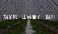 胡冬梅：山河稚子—银川一所小学用这样的方式让学员与故乡山清水相识